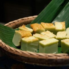 pexels-amanda-lim-5074906-8179011 pexels-amanda-lim-5074906-8179011